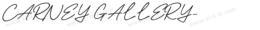 CARNEY GALLERY字体转换
